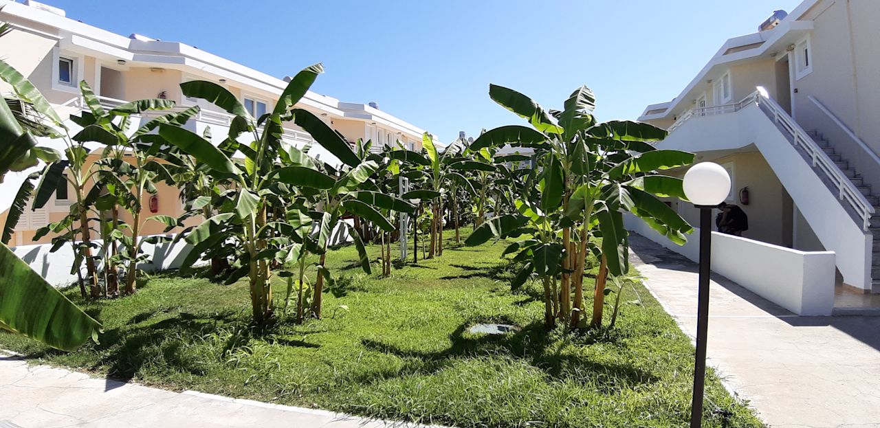 "Gartenanlage" Hotel Utopia Blu (Tigaki) • HolidayCheck (Kos