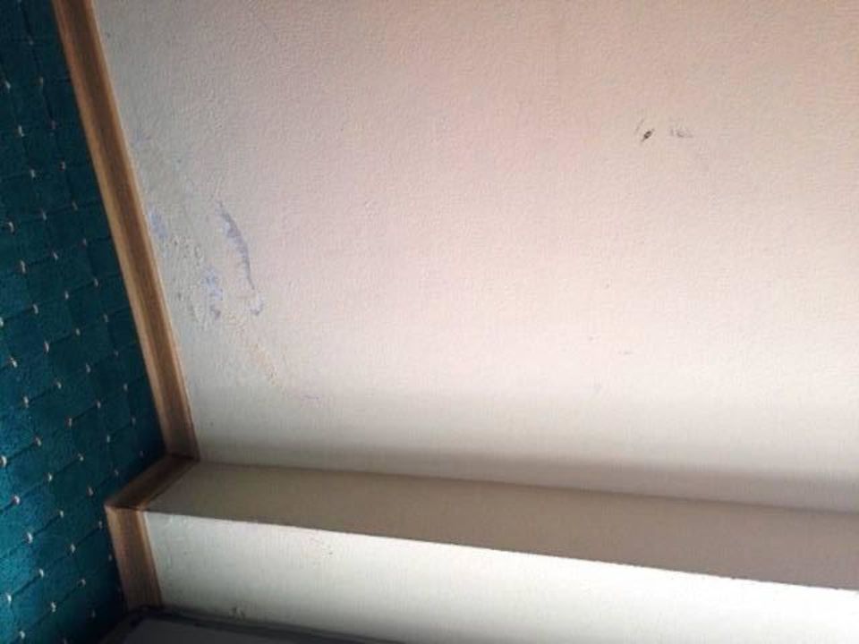 Wasserschaden An Der Wand Im Wohnzimmer Reiterhof Runding Runding Holidaycheck Bayern Deutschland