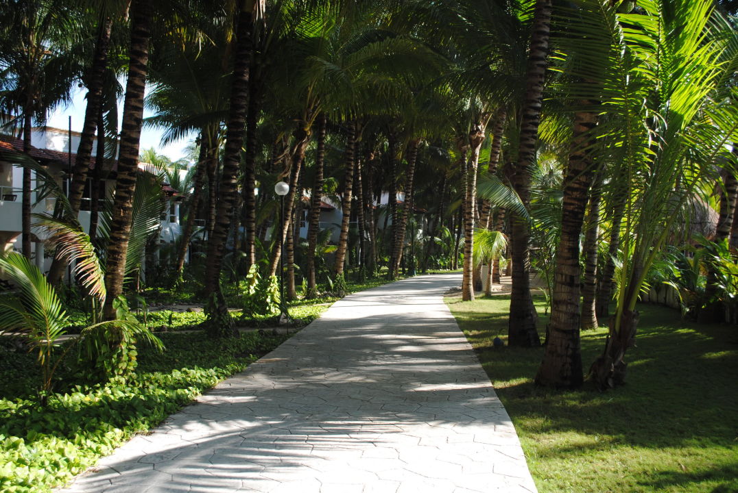 "Palmenweg" TUI BLUE El Dorado Seaside Suites (Akumal/Riviera Maya