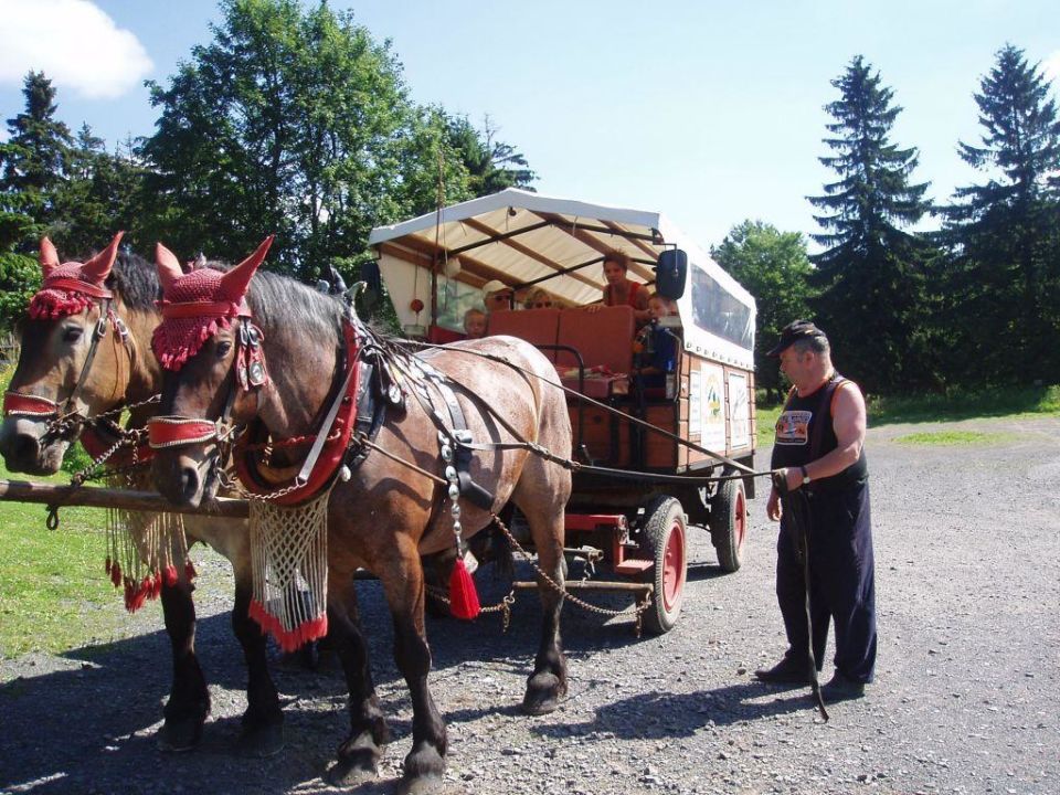 "Pferdekutschenausflug durch die Rhön" Berghotel ...