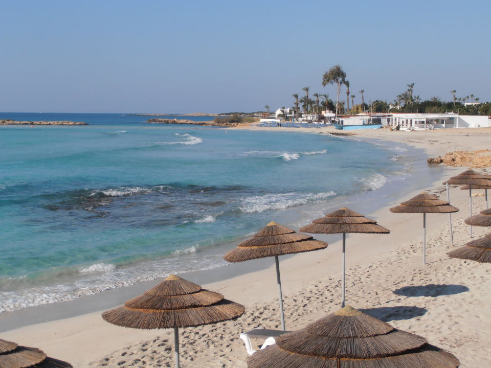 Blumen Im Marz Hotel Nissi Beach Resort Agia Napa Ayia Napa Holidaycheck Sudzypern Zypern