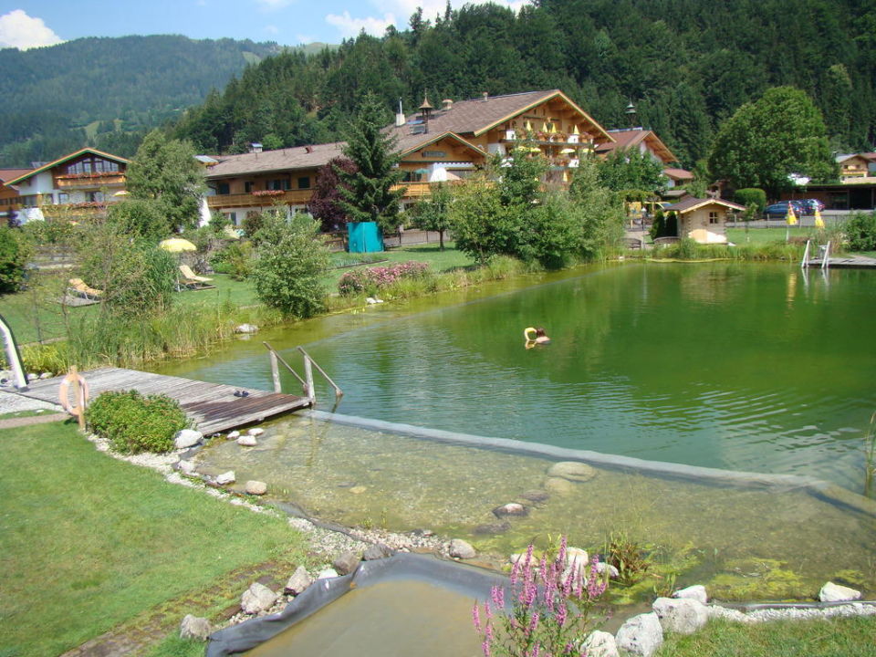 "Schwimmteich mit Hotel im Hintergrund" Familotel Landgut Furtherwirt