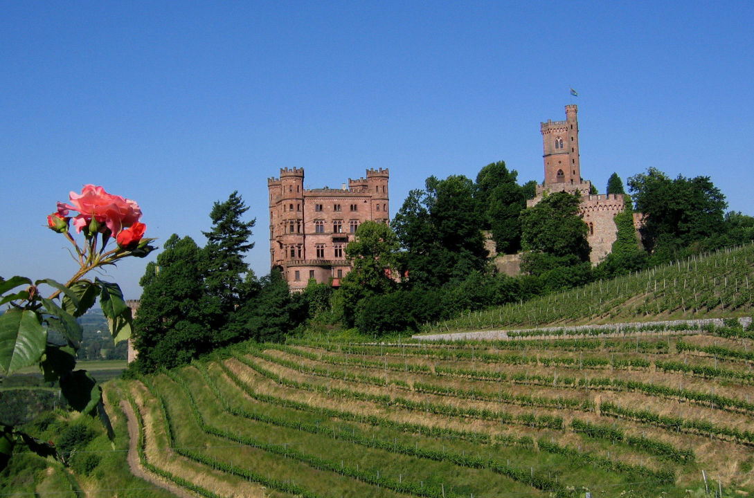 "DJH-Jugendherberge Schloss Ortenberg" Jugendherberge Ortenberg ...