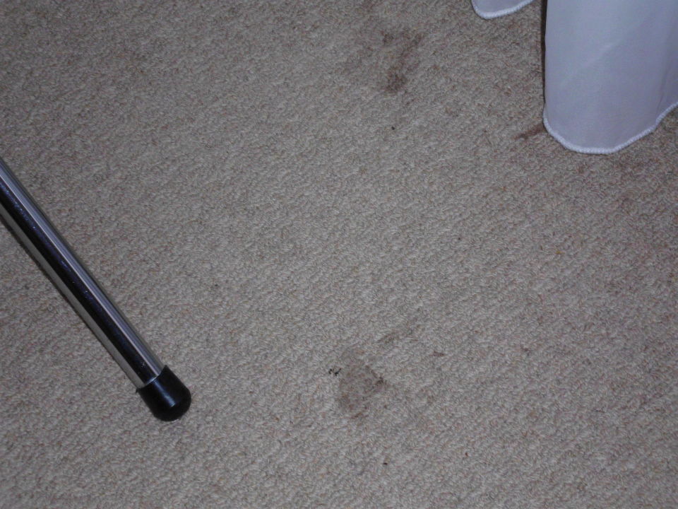 Bild "Total verschmutzte( Fliesen ) im Badezimmer" zu Paloma