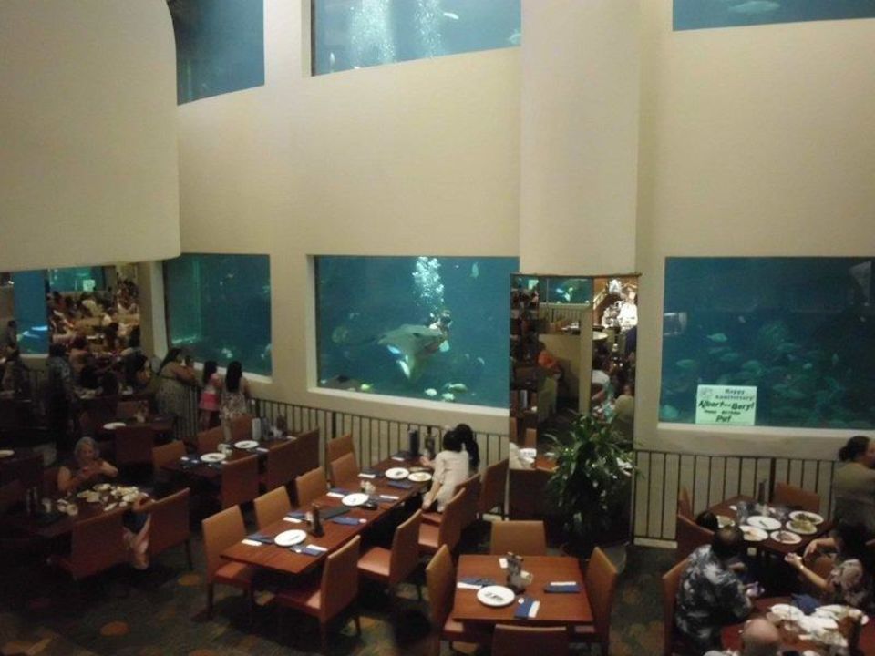 "Restaurant & Frühstücksbereich mit Aquarium" Alohilani Resort Waikiki