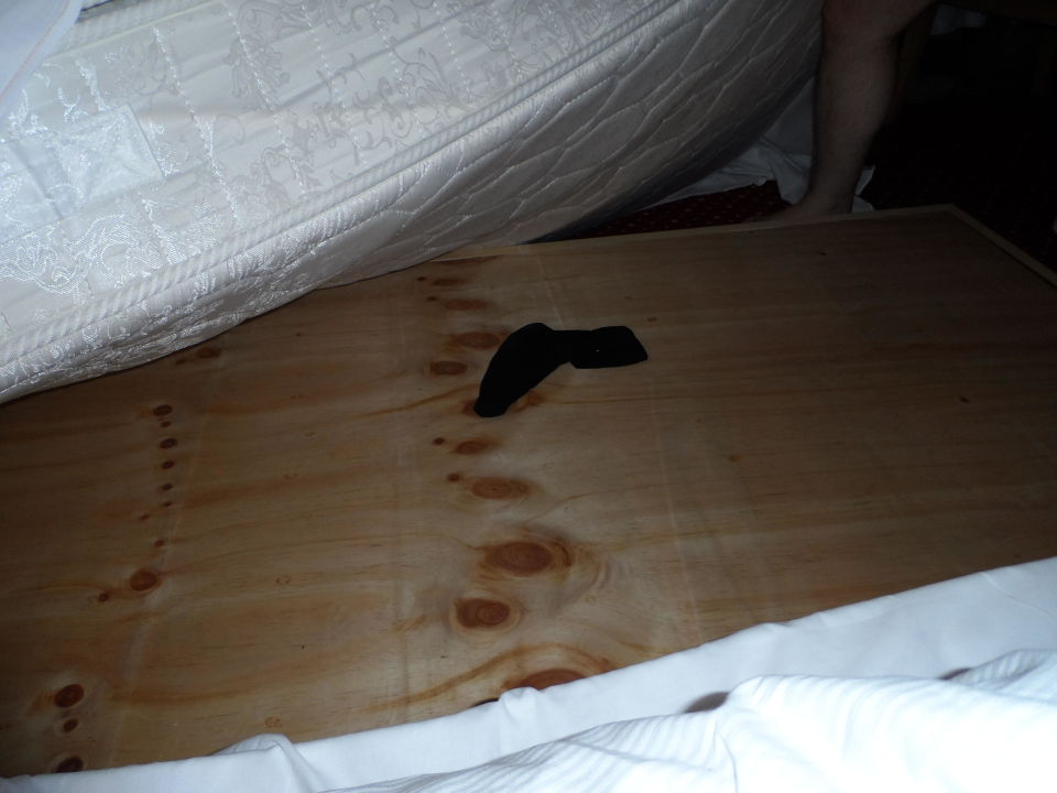 Kloschussel Plaza Inn Hamburg Moorfleet Hamburg Holidaycheck