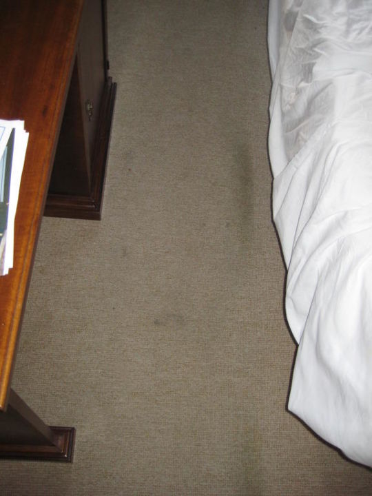 Teppich Schlafzimmer Park Hotel Napoleone Portoferraio Elba