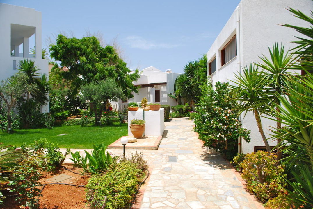 "Gartenpflanzen im Gebäudebereich" Maritimo Beach Hotel ...