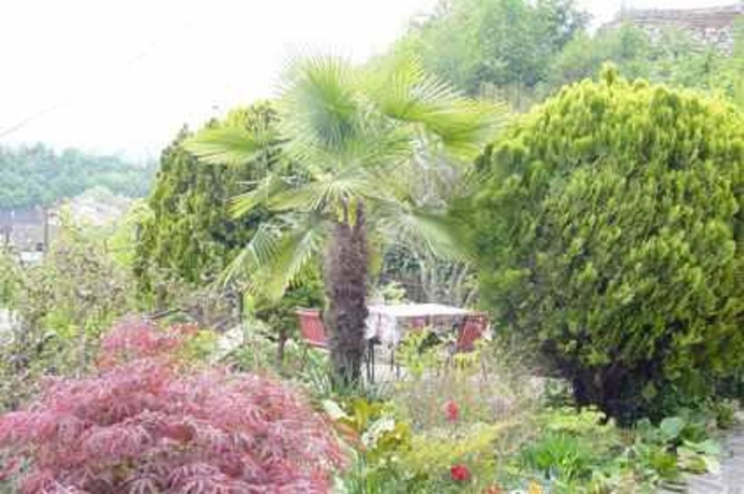 Garten Vor Dem Haus Haus Karin Kaltern Holidaycheck Sudtirol