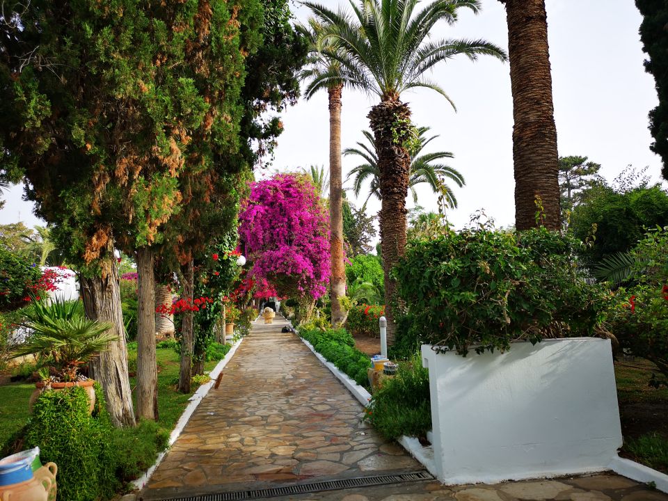 &quot;Garten&quot; Les Orangers Beach Resort (Hammamet