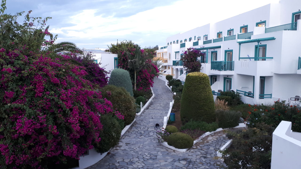 "Gartenanlage" Mastichari Bay Hotel (Mastichari) • HolidayCheck (Kos