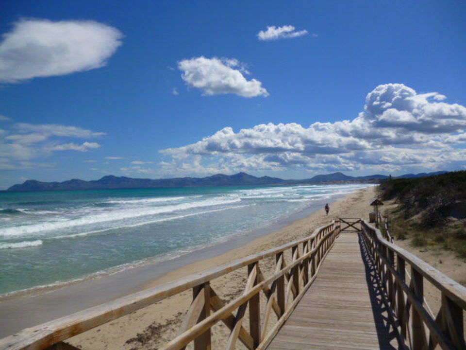 Die Brucke Zum Strand Rollstuhlgerecht Allsun Hotel Eden Playa