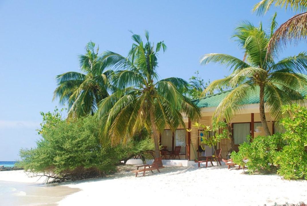 "Strandbungalows" Eriyadu Island Resort (Gaafaru) • HolidayCheck (Kaafu ...