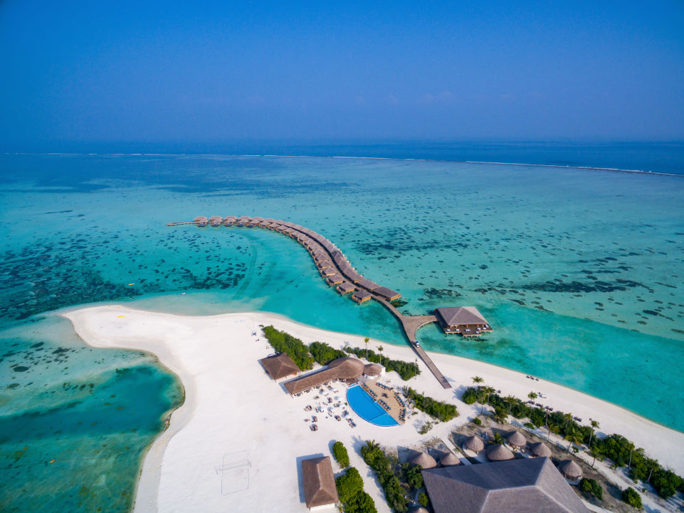 Cocoon maldives где находится