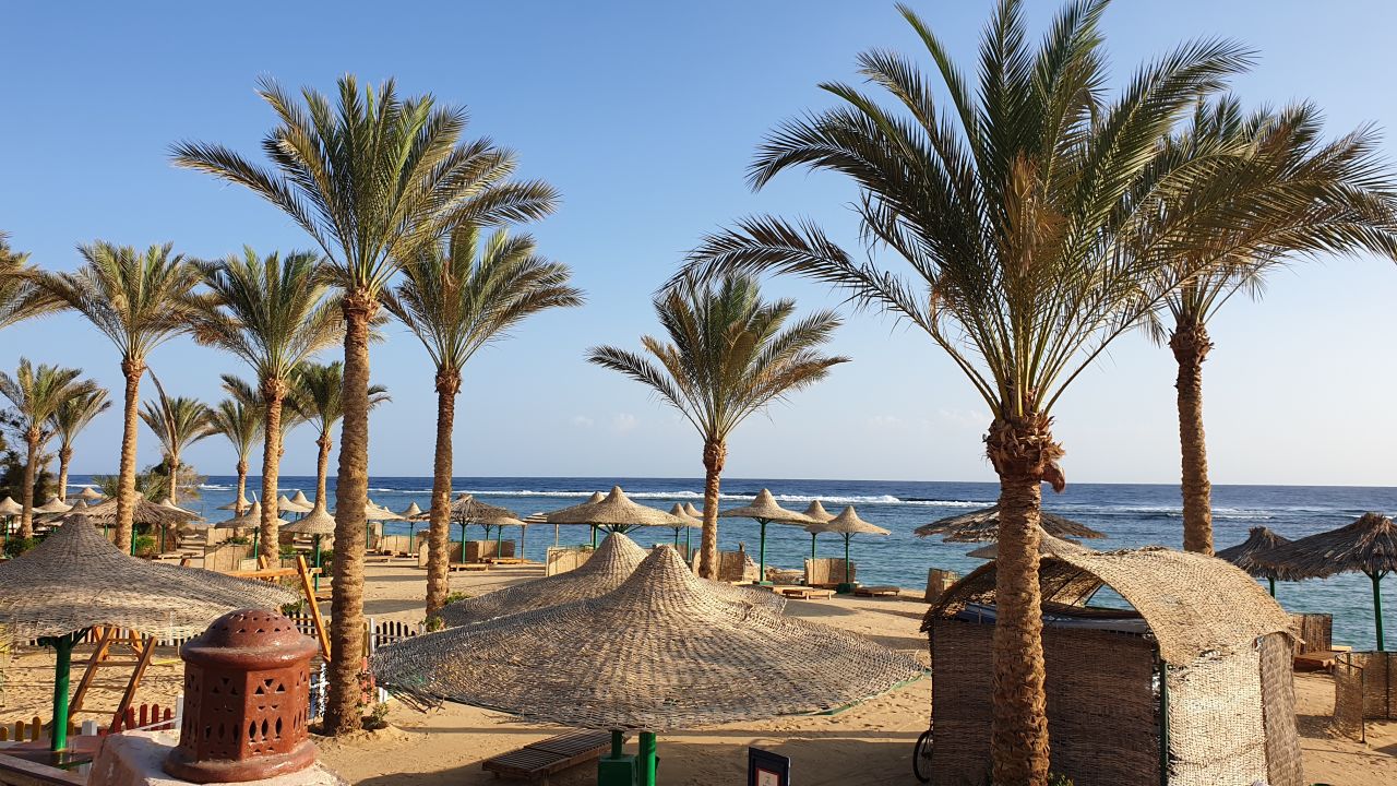 "Strand" Flamenco Beach & Resort (El Quseir) • HolidayCheck (Marsa Alam