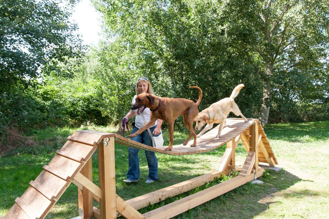 "Hundespielplatz/ Hundebadestrand" Hotel Reiterhof Altmühlsee