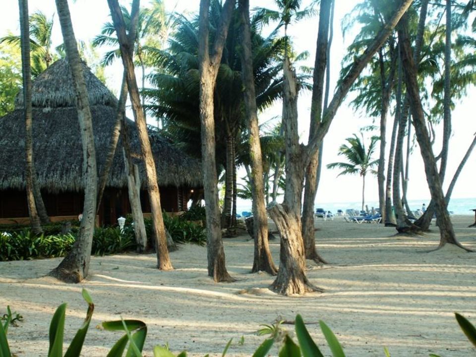 Speisesaal Am Strand Vista Sol Punta Cana Bavaro Holidaycheck