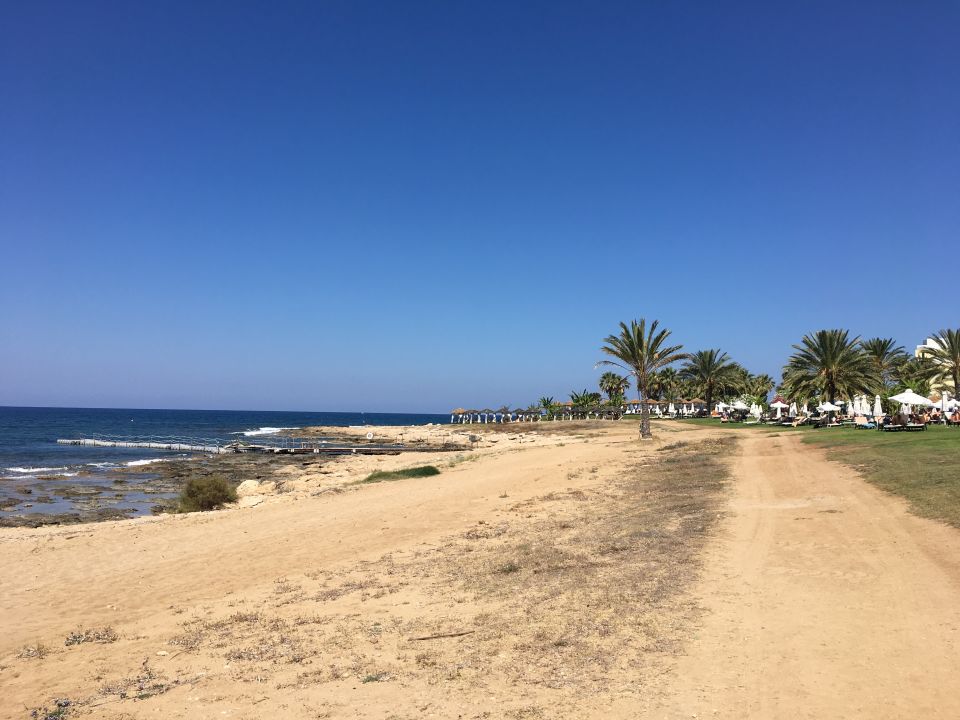 "Strand" Constantinou Bros Athena Beach Hotel (Paphos) • HolidayCheck