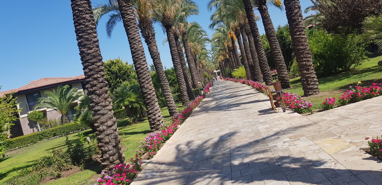 "Gartenanlage" TUI BLUE Palm Garden (Manavgat - Kizilagac