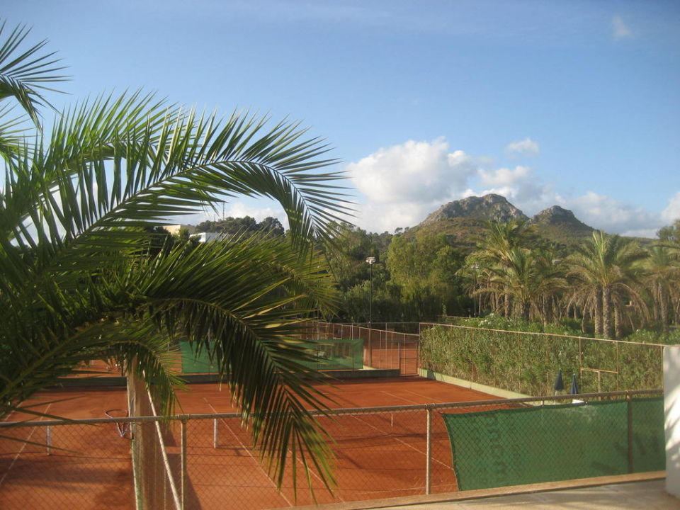 Bild "Mega viele Tennisplätze" zu Hotel Beach Club Font de Sa Cala in