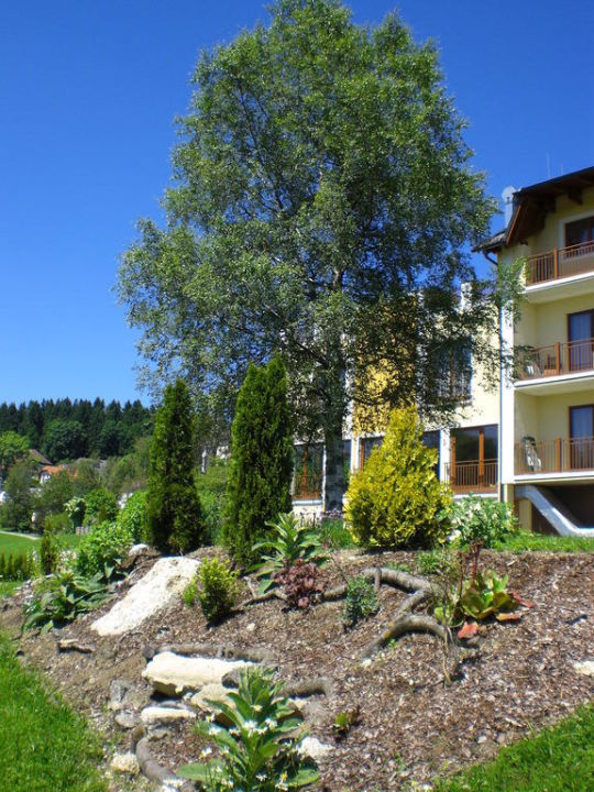 &quot;Birke im Garten&quot; Hotel Rockenschaub (Liebenau