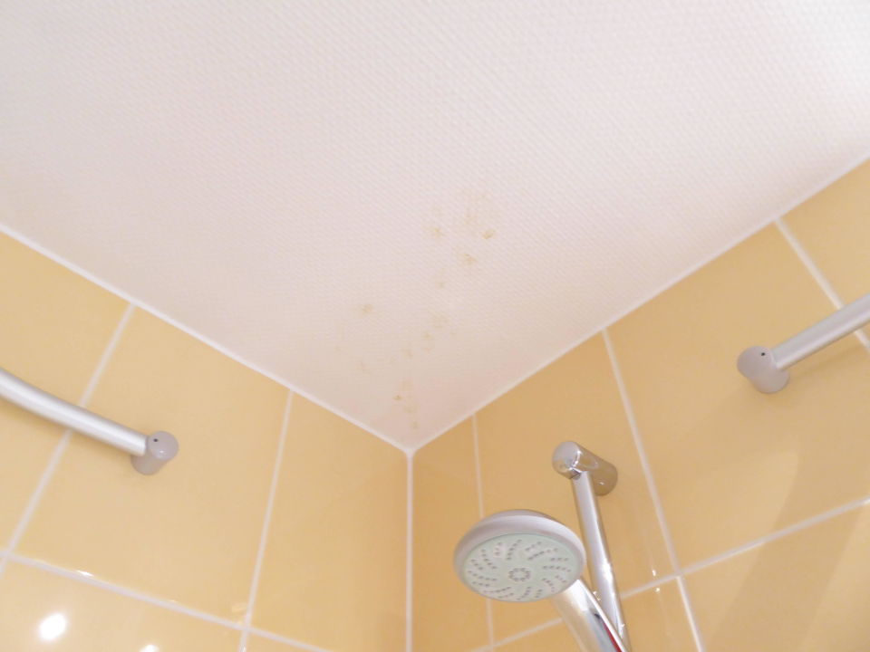 "Flecken über der Dusche an Decke" Flandrischer Hof (Köln) • HolidayCheck (NordrheinWestfalen