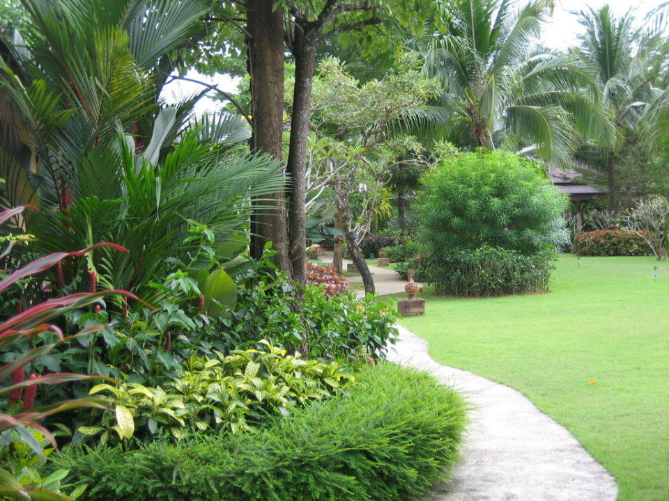 "Wunderschöner Garten" Hotel Jasmin Resort (Bang Niang Beach) • HolidayCheck (Khao Lak / Phang