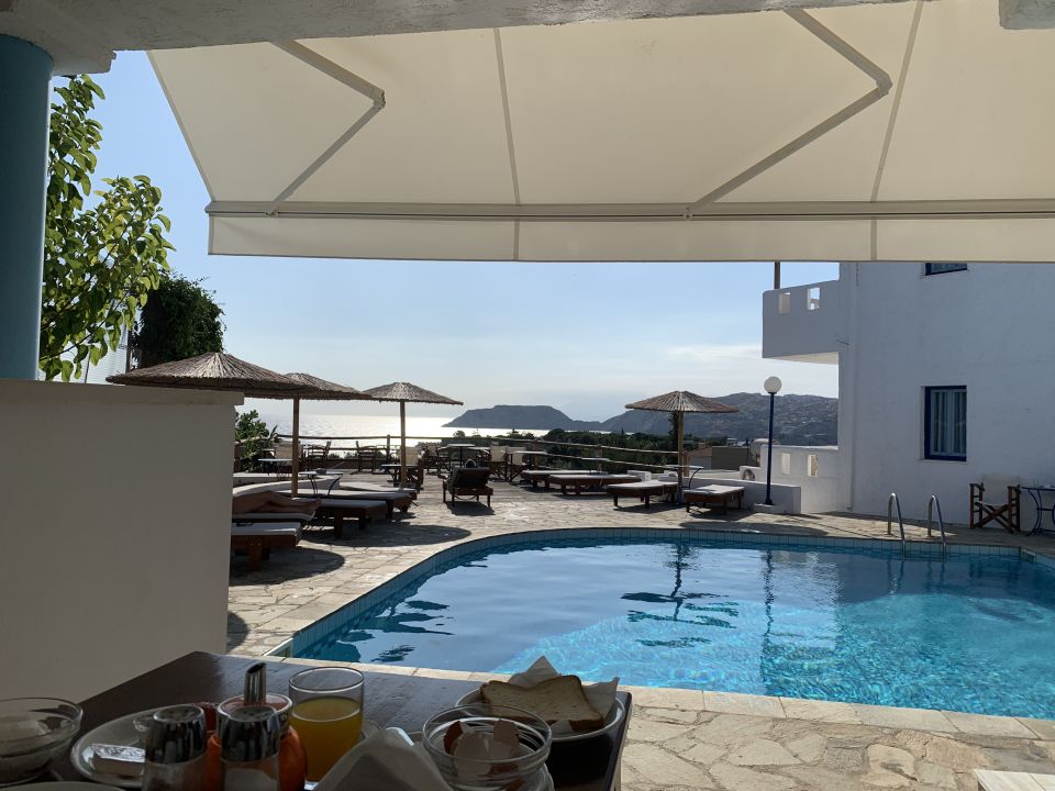 "Pool" Thalia Apartments (Agia Pelagia) • HolidayCheck (Kreta