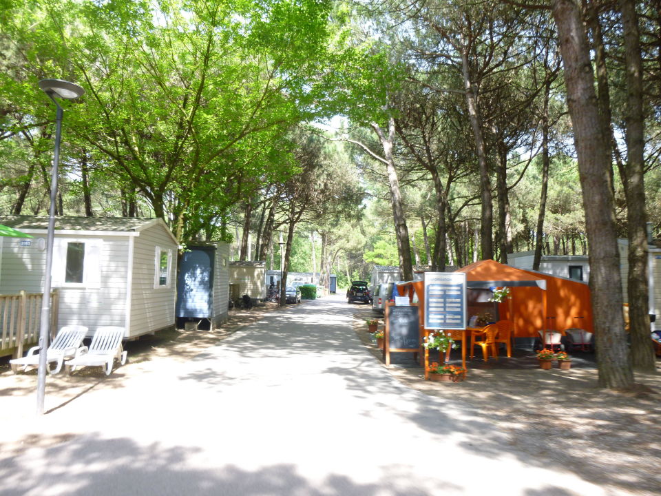 "Verschiedene Mobilhome in Marina 2000" Camping Village Marina di