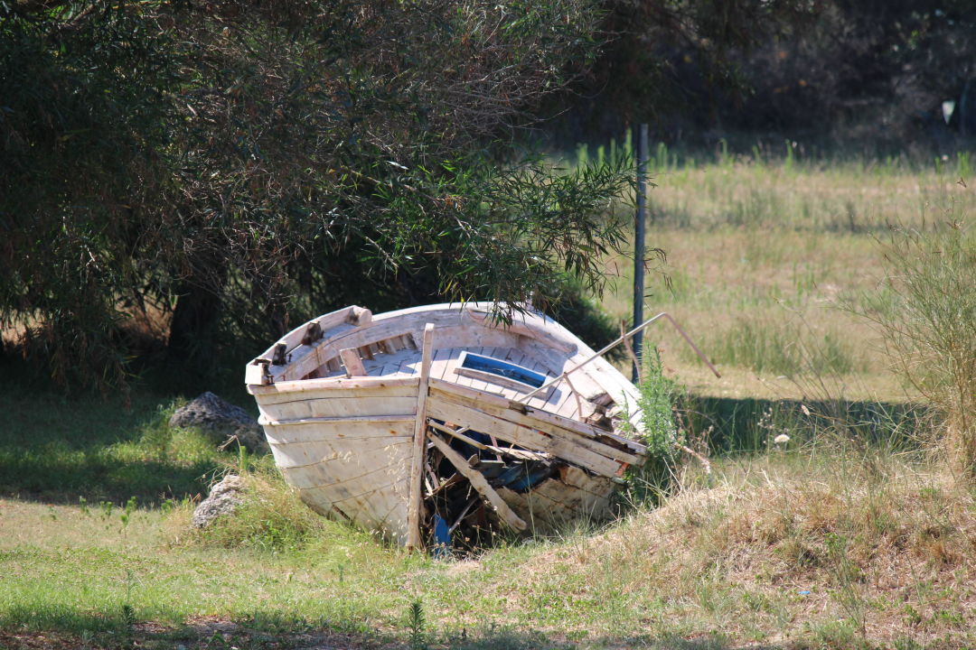 &quot;Boot im Garten&quot; Hotel Ilaria (Laganas) • HolidayCheck