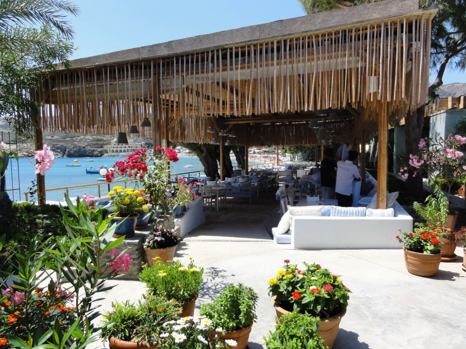 Griech Restaurant Seasalt Rosemary Out Of The Blue Capsis Elite Resort Agia Pelagia Holidaycheck Kreta Griechenland