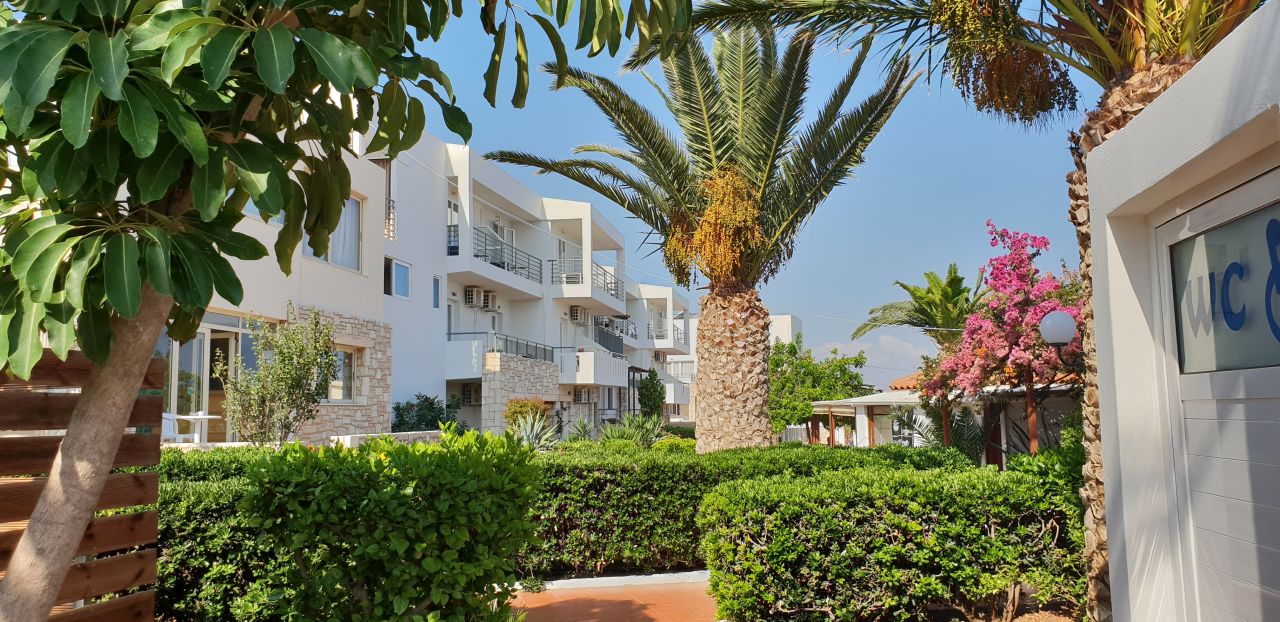 "Gartenanlage" Hotel Cretan Garden (Anissaras) • HolidayCheck (Kreta