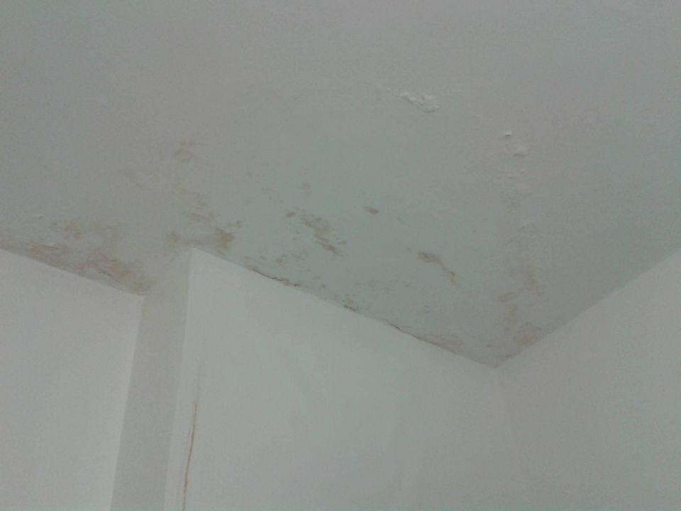 "Schimmel an der Decke" BRISTOL Hotel Bad Kissingen (Bad Kissingen