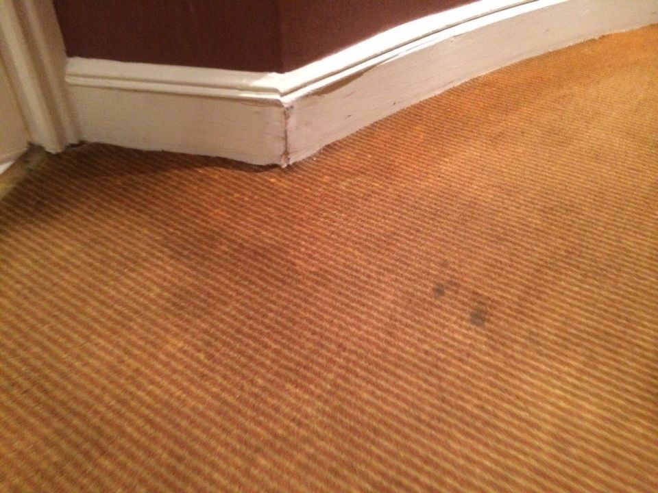 Bild Teppich verschmutzt und Fussleisten ;( zu Hotel Bild Teppich verschmutzt und Fussleisten ;( zu Hotel