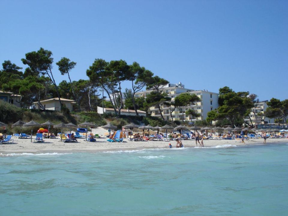 Strand Iberostar Alcudia Park Platja De Muro Playa De Muro