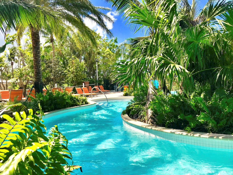 pool-hotel-hyatt-regency-coconut-point-resort-spa-estero