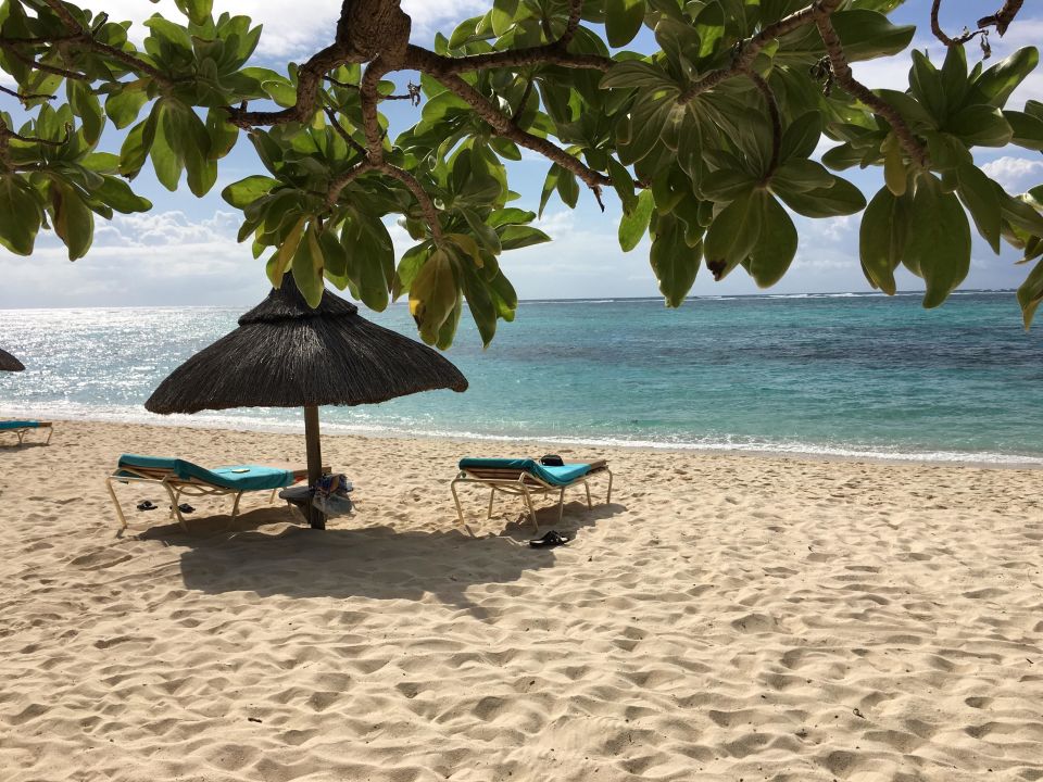 "Ausblick Strand" Hotel Silver Beach (Trou d'Eau Douce) • HolidayCheck