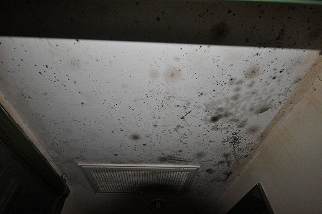 Mold On The Ceiling Elit Garden Hotel Side Holidaycheck