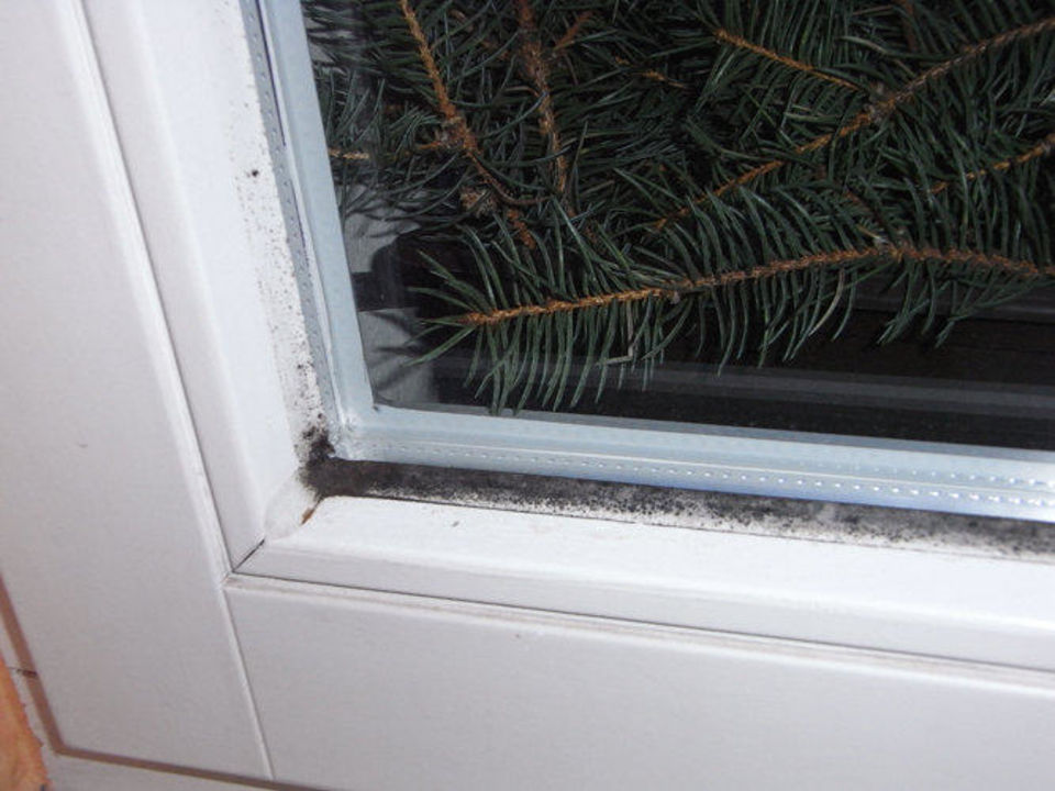 "Schimmel Fenster" Hotel UpHusIdyll (Neuruppin