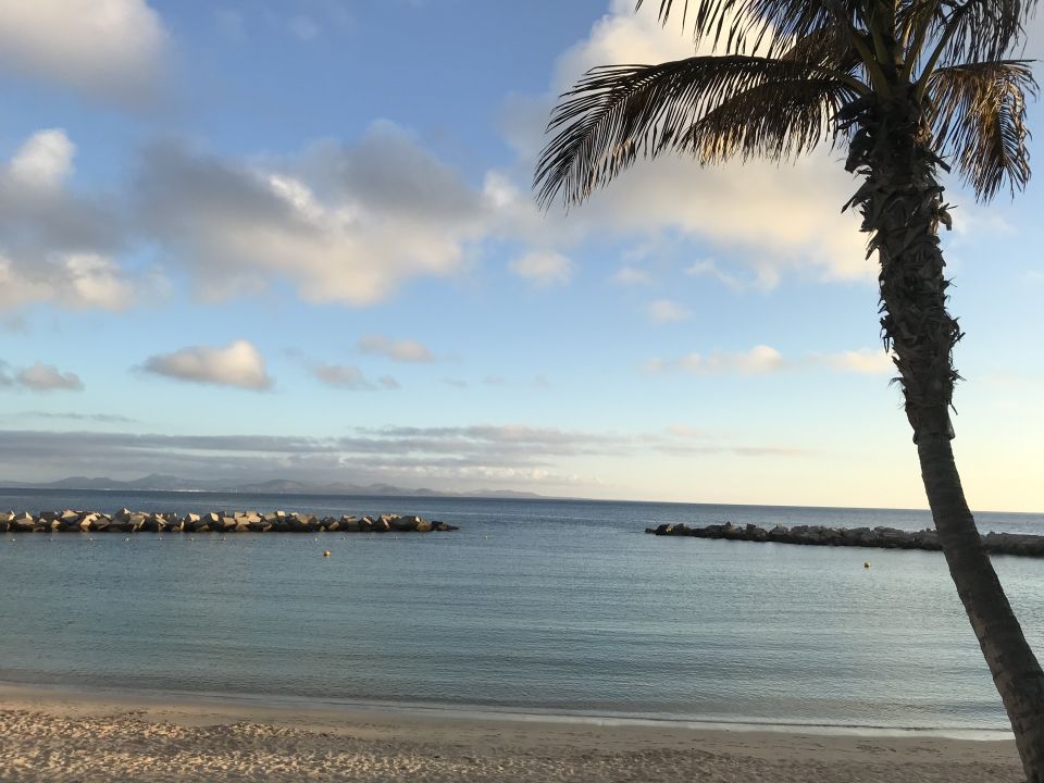 "Strand" TUI BLUE Flamingo Beach (Playa Blanca) • HolidayCheck