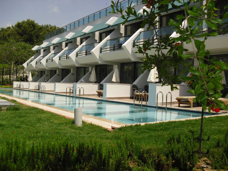 "Swim up Zimmer" Side Star Elegance (Side) • HolidayCheck (Türkische Riviera Türkei)