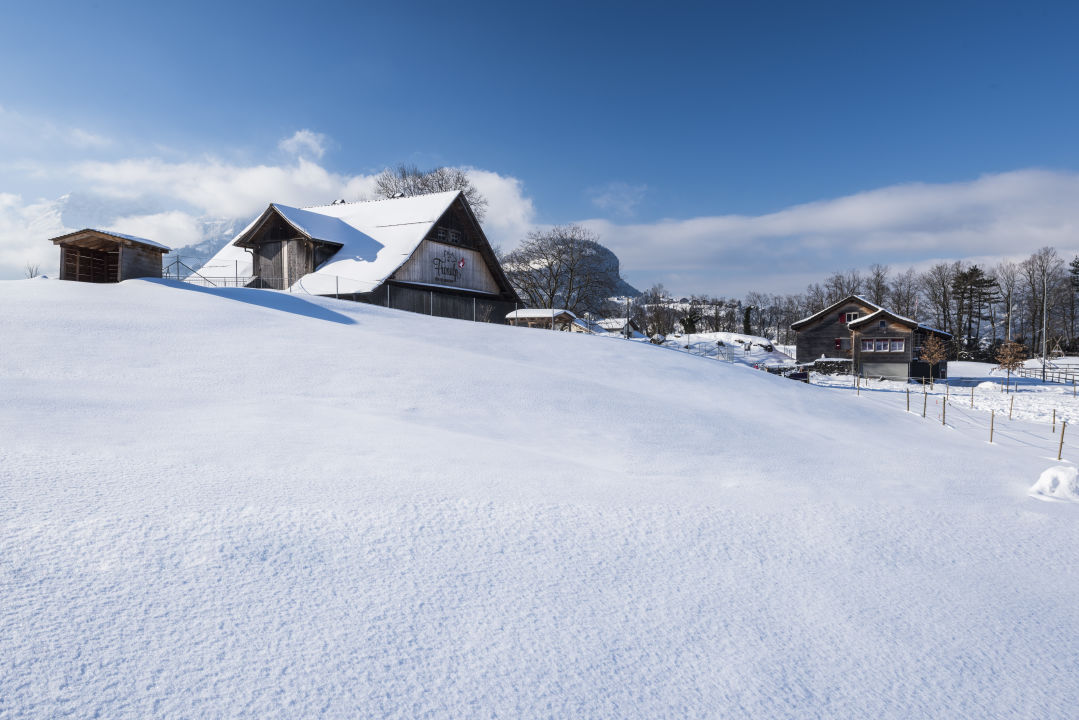 "Außenansicht" Hotel Swiss Holiday Park (Morschach ...