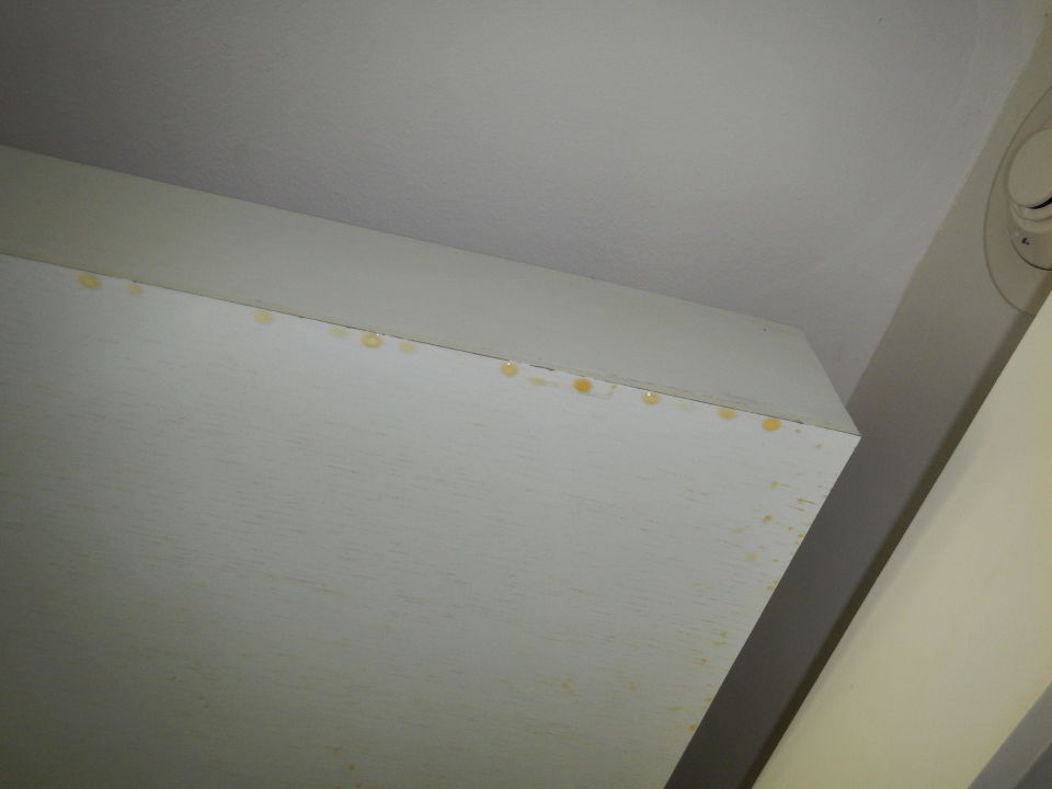 Molto Grundierung gegen Flecken Abdecken von Flecken an Wänden