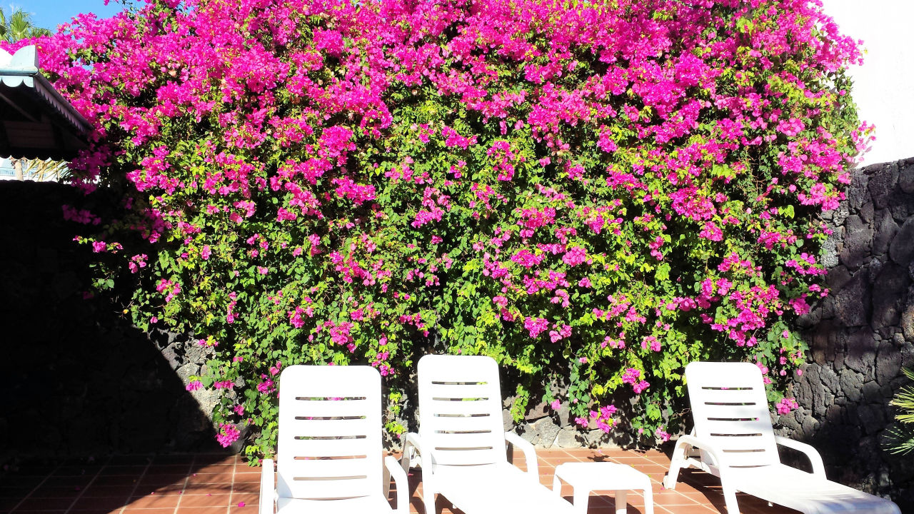 Fkk Bereich Seaside Hotel Los Jameos Playa Puerto Del Carmen • Holidaycheck Lanzarote