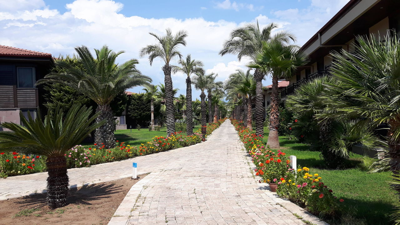 "Garten" TUI BLUE Palm Garden (Manavgat Kizilagac) • HolidayCheck