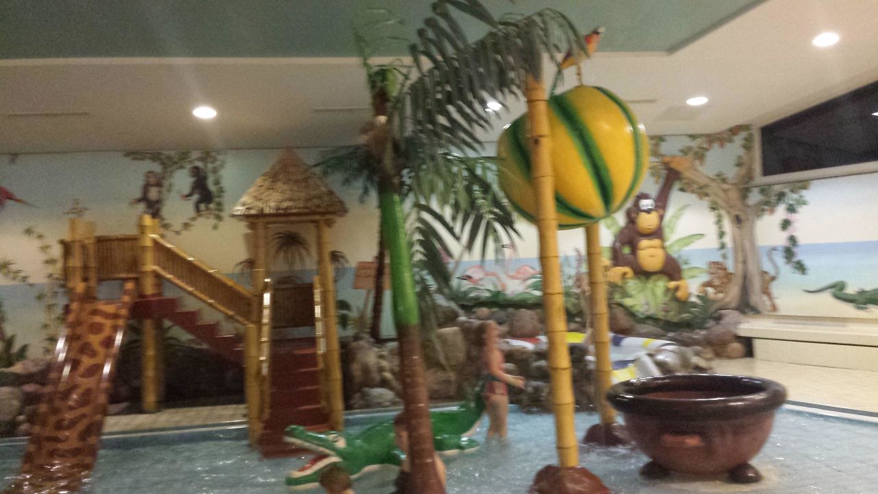 Bild "dschungel land im spassbad rother lagune" zu rhön park hotel ...