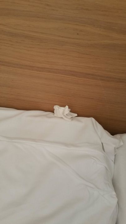"Benutztes Taschentuch beim Zimmerbezug" Insotel Club Cala Mandia (Cala