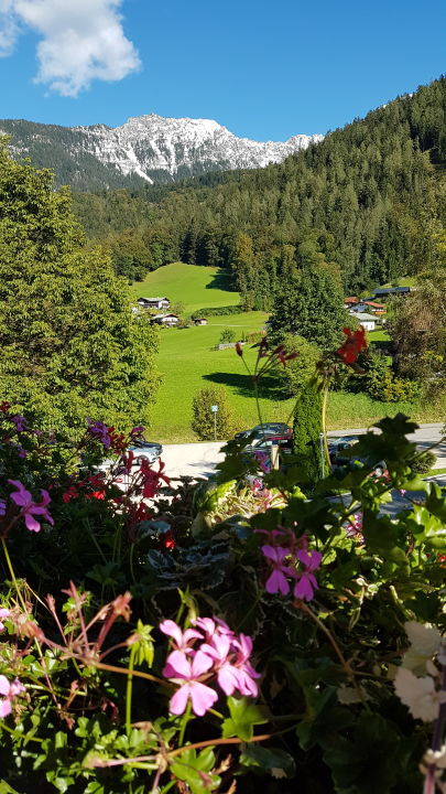 "Ausblick" Alm- & Wellnesshotel Alpenhof (Schönau am ...