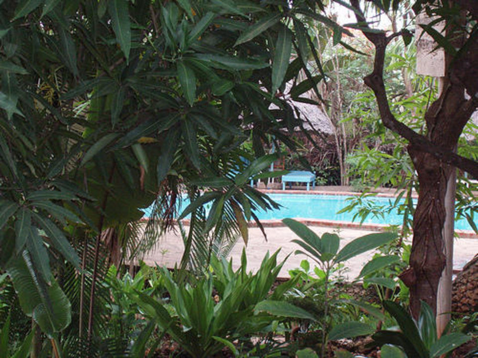 "Pool im Tropischen Garten" Tropical Garden Apartments (geschlossen
