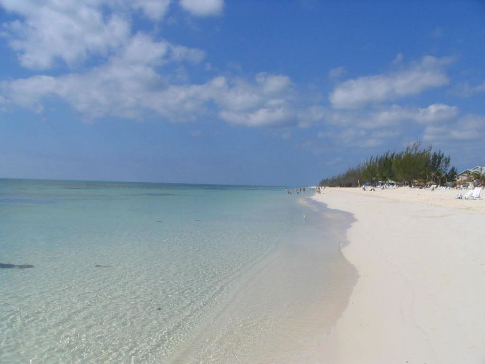 "Strand des Viva Fortuna Beach Resort" Viva Wyndham Fortuna Beach